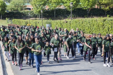 BAPS Charities Walk Green 2019