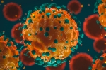 coronavirus new cases, Coronavirus India daily tally, 37 875 new coronavirus cases reported in india, Coronavirus deaths