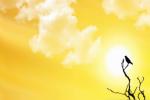 UAE news, shortest day of the year, friday is the longest day of the year, Middle east news headline