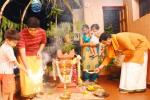 tulsi is the holy basil, holy plant tulsi, tulsi puja, Plant tulsi
