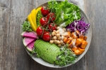 Vegan lifestyle, plant based diet, important factors to know before transitioning to a vegan lifestyle, Vegan lifestyle
