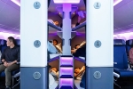 Air New Zealand Bunk Beds 2027, Air New Zealand Bunk Beds 2027, air new zealand introduces bunk beds in economy flights, Privacy Air New Zealand Bunk Beds 2027, Air New Zealand Bunk Beds 2027, air new zealand introduces bunk beds in economy flights, Privacy