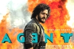 Surendar Reddy, Agent film new updates, a grand pre release event planned for akhil s agent, Surender reddy