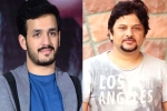 Akhil Akkineni fifth film, Akhil Akkineni new film, akhil akkineni and surendar reddy joins hands, Beef