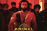 Animal movie, Animal breaking updates, record breaking nominations for animal, Anil kapoor