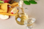 Apple Cider Vinegar experts, Apple Cider Vinegar experts, health benefits of apple cider vinegar, Suri