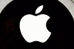 Apple Health App, Apple Health App 2025, apple planning to add ai powered doctor to its health app, Haul