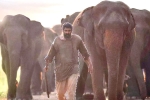 Aranya​ movie rating, Aranya​ rating, aranya movie review rating story cast and crew, Vishnu vishal