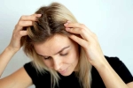 Dandruff Ayurvedic Remedies updates, Dandruff Ayurvedic Remedies, ayurvedic remedies at home to get rid of dandruff, Rosemary