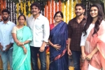 Nagarjuna, Bangarraju release news, nagarjuna s bangarraju gets its official launch, Prequel