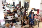 Dengue Outbreak news, Bangladesh Dengue Outbreak, bangladesh dengue outbreak death toll crosses 1000, Dengue outbreak
