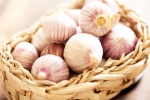 Chinese garlic new breaking, Chinese garlic breaking, how to identify banned chinese garlic in the indian market, Rajkot