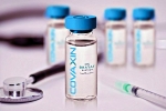Bharat Biotech, COVID-19, bharat biotech to begin phase 3 trials of covaxin in up from october, The nose