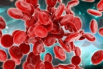 Blood Cells, Blood Cells, scientists generate blood forming stem cells, Stem cells Blood Cells, Blood Cells, scientists generate blood forming stem cells, Stem cells