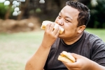 Bread for weightloss breaking, Bread, will bread help in weightloss, Arab