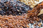 Brown Rice Vs Black Rice better, Brown Rice Vs Black Rice news, brown rice vs black rice which one is healthier, Toxins