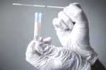 symptoms, diagnosis, can you get a covid 19 test done for yourself, Typhoid