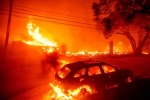 California, California Wildfire latest breaking, california declares wildfire emergency, Hollywood