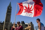 Canada Senate, Canada Senate, canada senate legalizes recreational marijuana, Uruguay Canada Senate, Canada Senate, canada senate legalizes recreational marijuana, Uruguay
