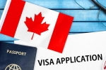Canada's study visa approvals, Canada's study visa approvals for Indians, canada s study visa approvals for indian students to drop by 50 in 2024, Autumn