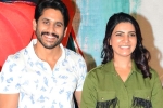 Naga Chaitanya updates, Naga Chaitanya with Samantha, naga chaitanya and samantha to work together again, Majili Naga Chaitanya updates, Naga Chaitanya with Samantha, naga chaitanya and samantha to work together again, Majili