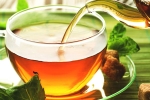 anti-bacteria, herbs, is consuming tea linked to immunity, Viral infections