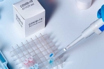 covid-19, coronavirus, studies find the incidence of covid 19 reinfection is low, Monkeys