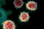 Covid-32, Coronavirus new variants, face covid 26 and covid 32 warns experts, Coronavirus origin
