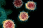 Coronavirus India, Covid-26, face covid 26 and covid 32 warns experts, Coronavirus origin