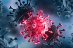 USA Coronavirus new cases, USA Coronavirus breaking news, delta variant makes usa tensed again, Covid 19 patients