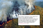 Fires in Amazon Rainforest, rainforest fires from NASA, in pictures devastating fires in amazon rainforest visible from space, Ecb