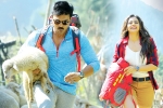 Dhruva collections, Surendar Reddy, dhruva turns first million dollar film for charan, Usa market