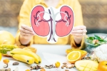 Healthy Kidneys medicine, Healthy Kidneys foods, food items to include in your diet for healthy kidneys, Cancer