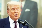 Sergio Gor India Ambassador, Donald Trump, donald trump names close political aide as india ambassador, White house