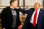 Donald Trump news, Donald Trump victory, donald trump s praise for musk s starlink, Helen