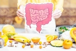 Better Gut Health, Better Gut Health breaking, quick and easy drinks for better gut health, Healthy digestive system