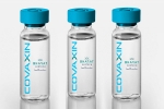 EUL for Covaxin, WHO, who delays the eul decision on covaxin, Astrazeneca