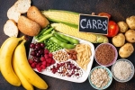 Too Many Carbs update, Too Many Carbs advantages, what happens if you eat too many carbs, Happy