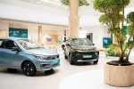 EV car sales September 2024, Car Sales September 2024 new updates, electric car and suv sales reach lowest in september 2024, Mg windsor