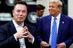 Elon Musk and Donald Trump latest, Elon Musk and Donald Trump breaking, elon musk s big bet on donald trump, American elections 2024