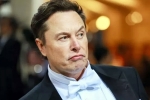 Elon Musk India visit latest breaking, Elon Musk India visit team, elon musk s india visit delayed, Investments