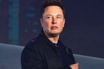 Elon Musk new update, Elon Musk updates, elon musk talks about cage fight again, Pizza
