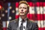 Donald Trump at Pennsylvania, Elon Musk DOnald Trump - Matrix, is elon musk in the trump cabinet, Elon musk and donald trump