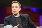 Elon Musk new purchase, Elon Musk update, elon musk to buy twitter for 44 billion usd, Donald trump
