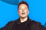 Elon Musk latest breaking, Elon Musk news, elon musk s new ultimatum to twitter staffers, Tesla