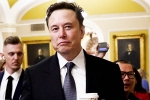 Elon Musk vs Trump Supporters, Elon Musk vs Trump Supporters Indian immigrants, elon musk vs trump supporters over indian immigrants, Indian immigrants