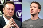 Elon Musk and Mark Zuckerberg, Elon Musk and Mark Zuckerberg breaking, elon vs zuckerberg mma fight ahead, Mark zuckerberg