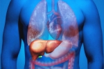 Fatty Liver in Youngsters tips, Fatty Liver in Youngsters tips, why is fatty liver affecting youngsters, Bro