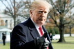 cohen, president, former u s senators warn of constitutional crisis under trump, John kerry