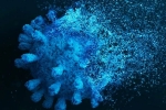 Sweden, Gene Variant Coronavirus research, researchers identify gene variant that protects against coronavirus, Jennifer